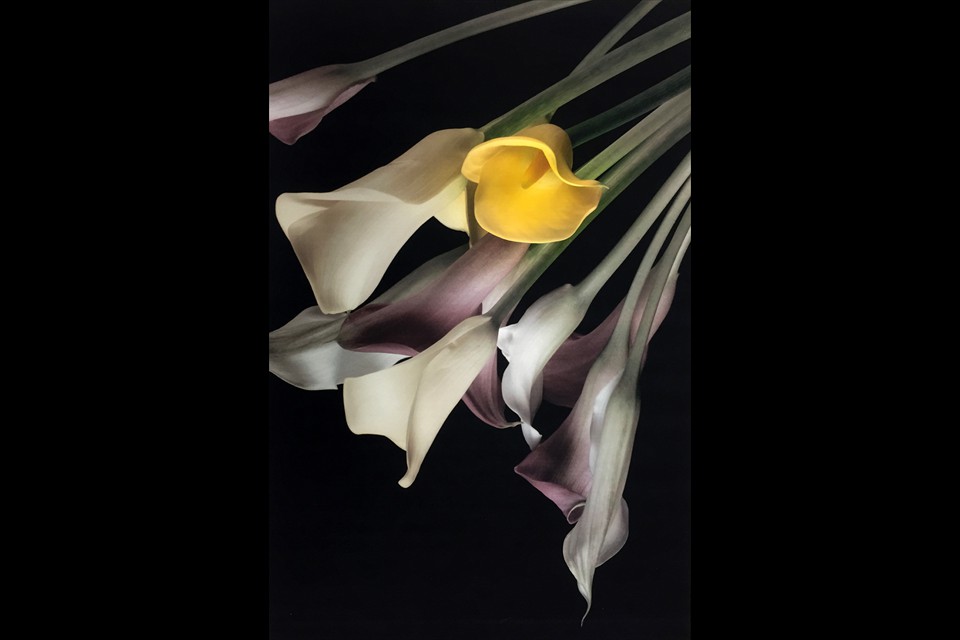 Flowers by Nancy Grinkin